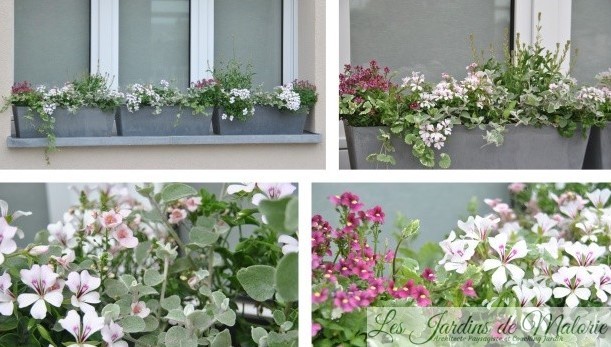 Fenêtre fleurie, jardinière d'été - Les Jardins de Malorie
