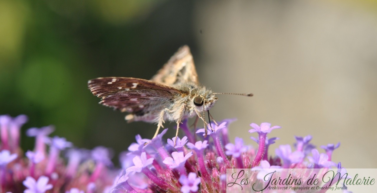 Hand Made By Les Jardins De Malorie Home Facebook Hand Made By Les Jardins De Malorie Home Facebook
