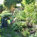Travaux d'automne au jardin : Que faire en Novembre?