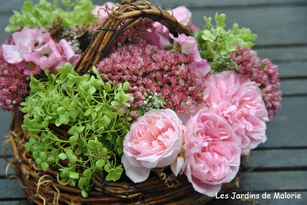 bouquets de fleurs du jardin avec rosa 'Bossa Nova' et 'Ballerina', hydrangea 'Annabelle' et sedum