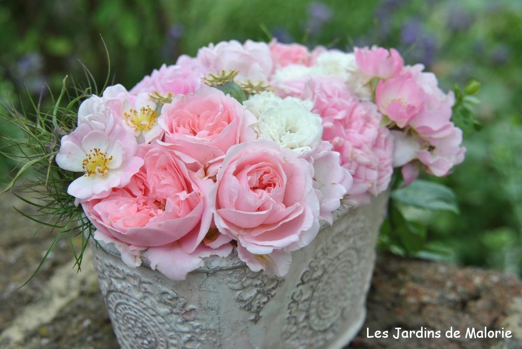 montage floral avec des roses du jardin