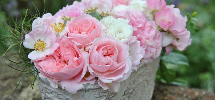 💐 Bouquet de roses du jardin