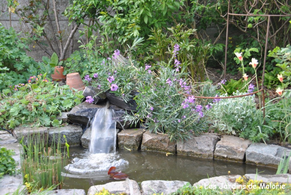 Comment créer mon premier bassin de jardin? > Aquiflor - Jardinerie  Aquatique