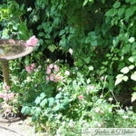 Que faire au jardin en août ? Pro-fi-ter!