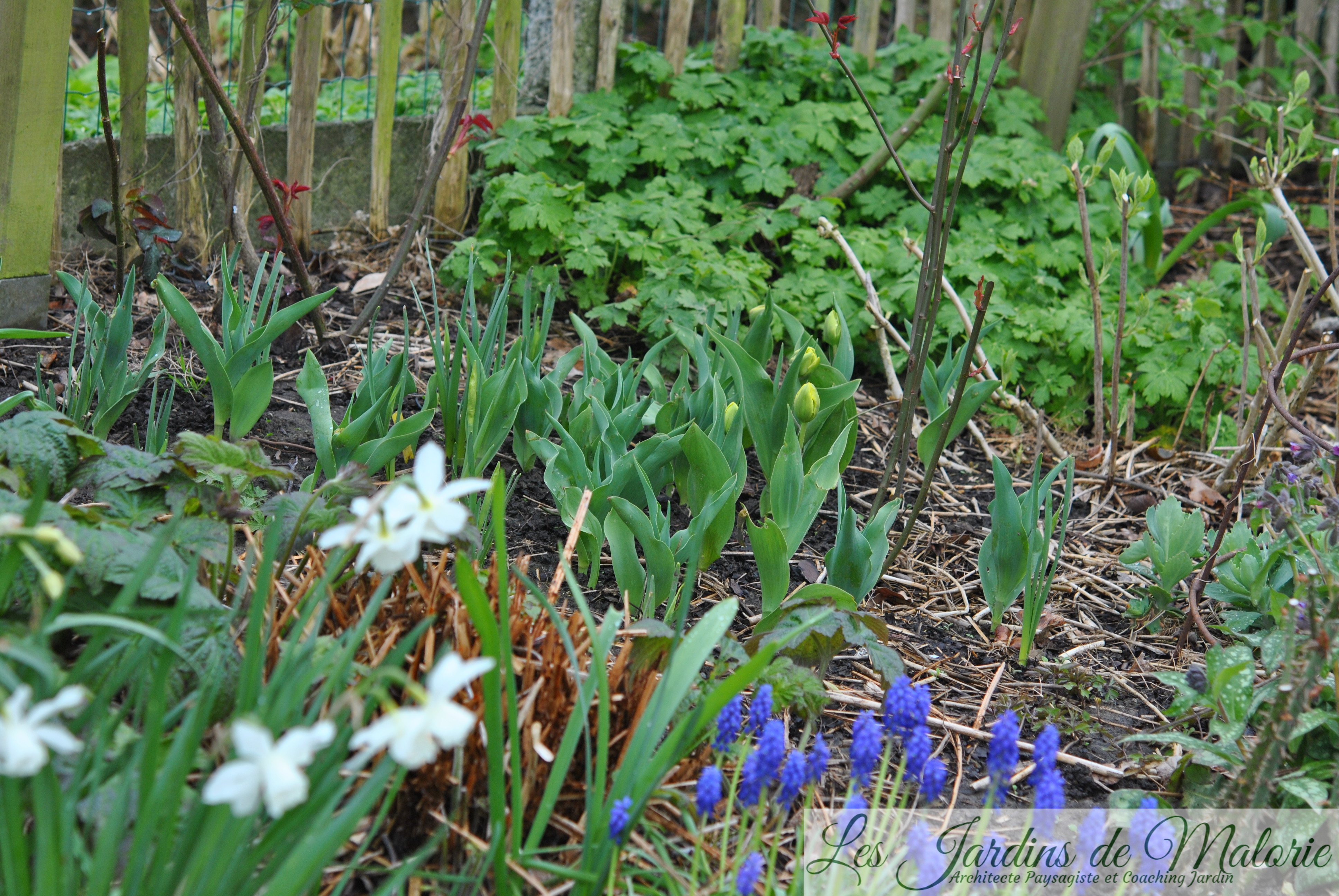 Dsc Les Jardins De Malorie