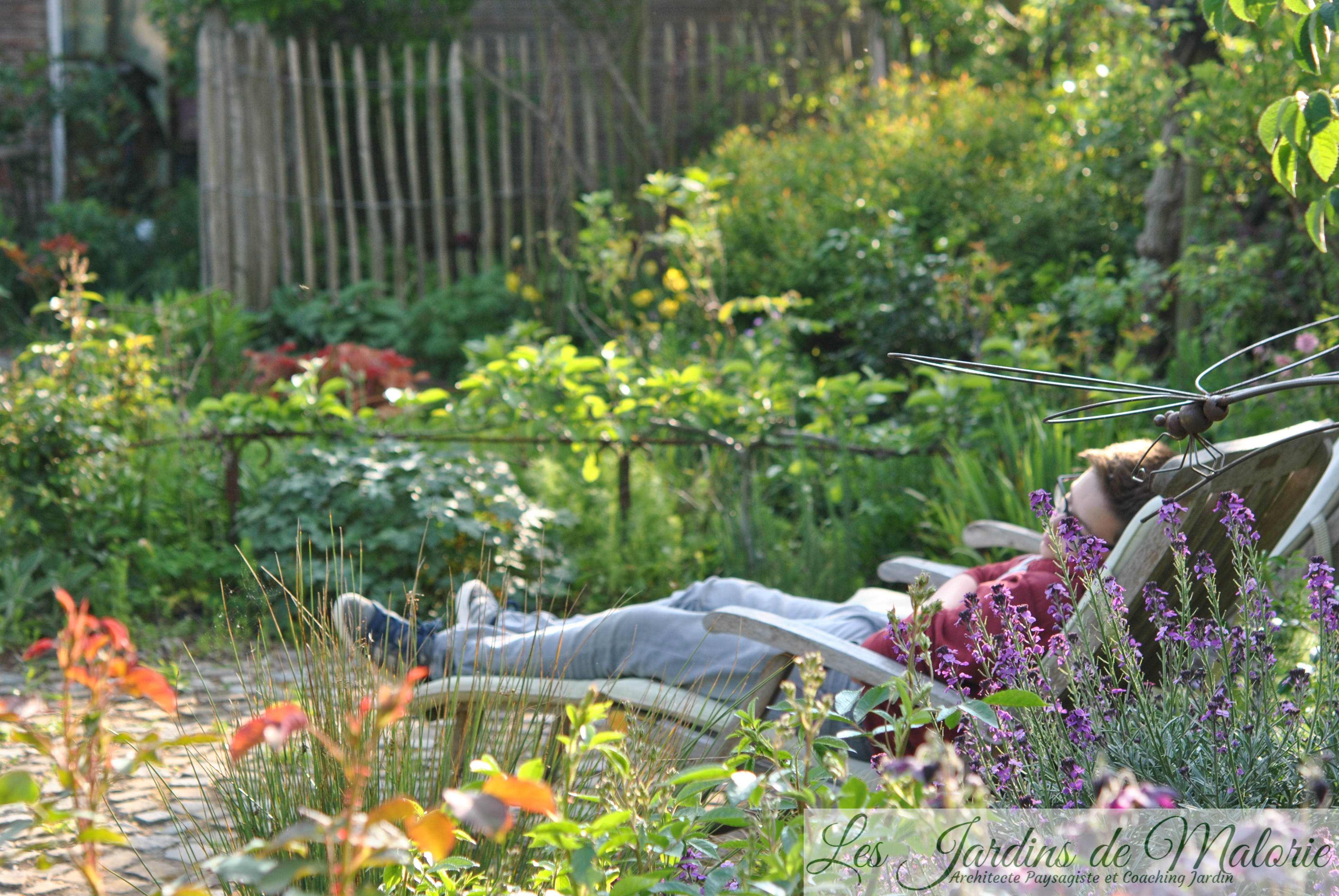 Les meilleures associations de légumes pour votre potager - Jardin Pro -  Centre jardin, entretien et aménagement paysager