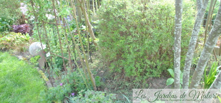 Travaux du mois de Mai au jardin