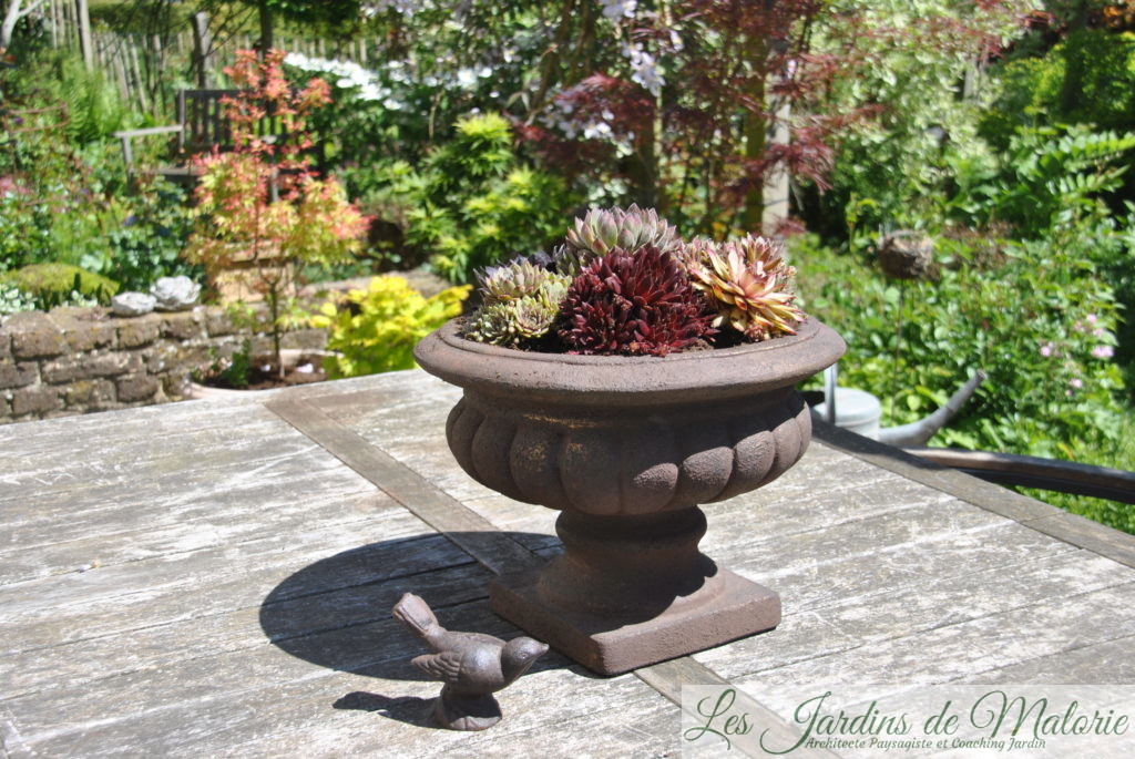 Vasque de jardin - Pots de jardin