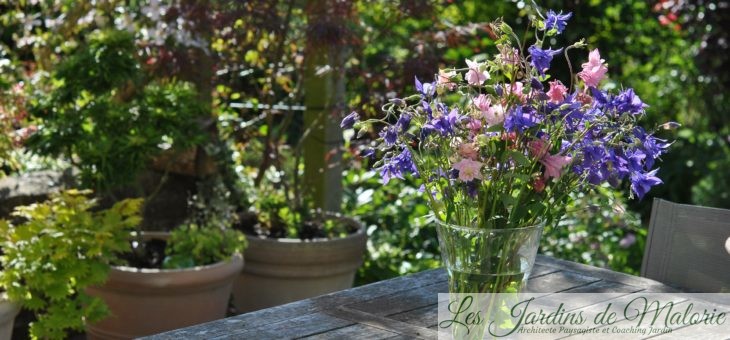 Chroniques de mon jardin: Joli mois de Mai (1)