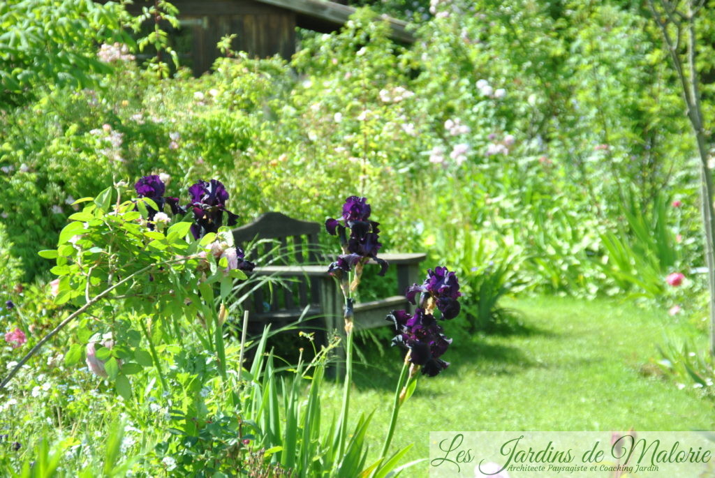 Iris des Jardins, c'est le moment de les planter! Les Jardins de Malorie — free download