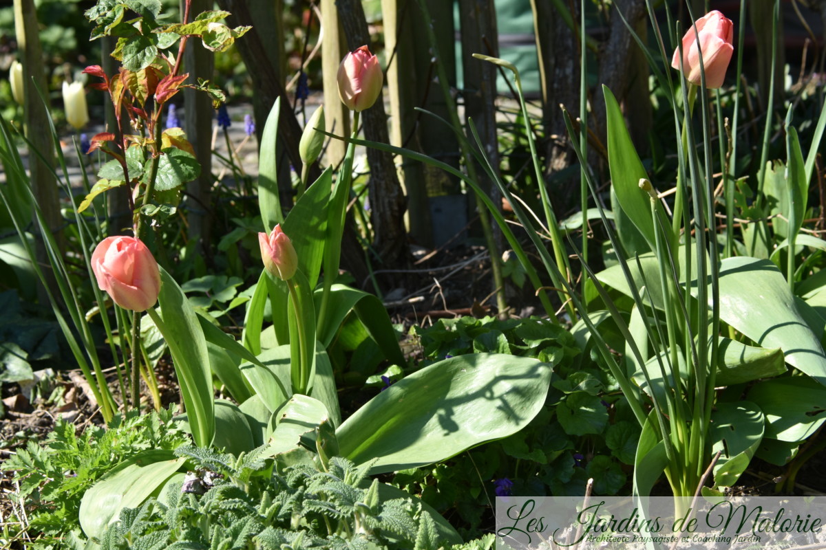 Handmade Les Jardins De Malorie Handmade Les Jardins De Malorie