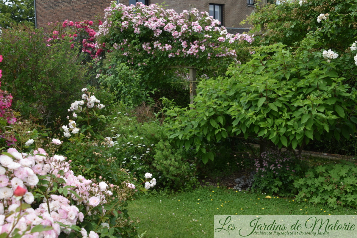 Les Jardins De Larbois Cabries Chiffre Daffaires Les Jardins De Larbois Cabries Chiffre Daffaires