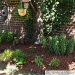 Coaching jardin: Le jardin d'une impatiente