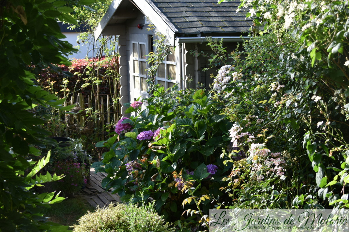 Chroniques de mon jardin : Bonjour Août! - Les Jardins de Malorie