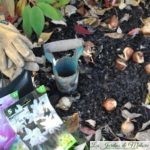 Travaux d'octobre au jardin : un nettoyage succinct