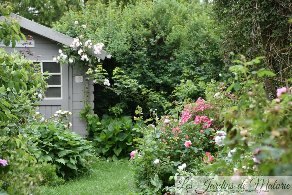 Chroniques de mon jardin: fin juin... - Les Jardins de Malorie