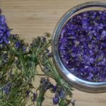 🍸 Sirop de violettes odorantes