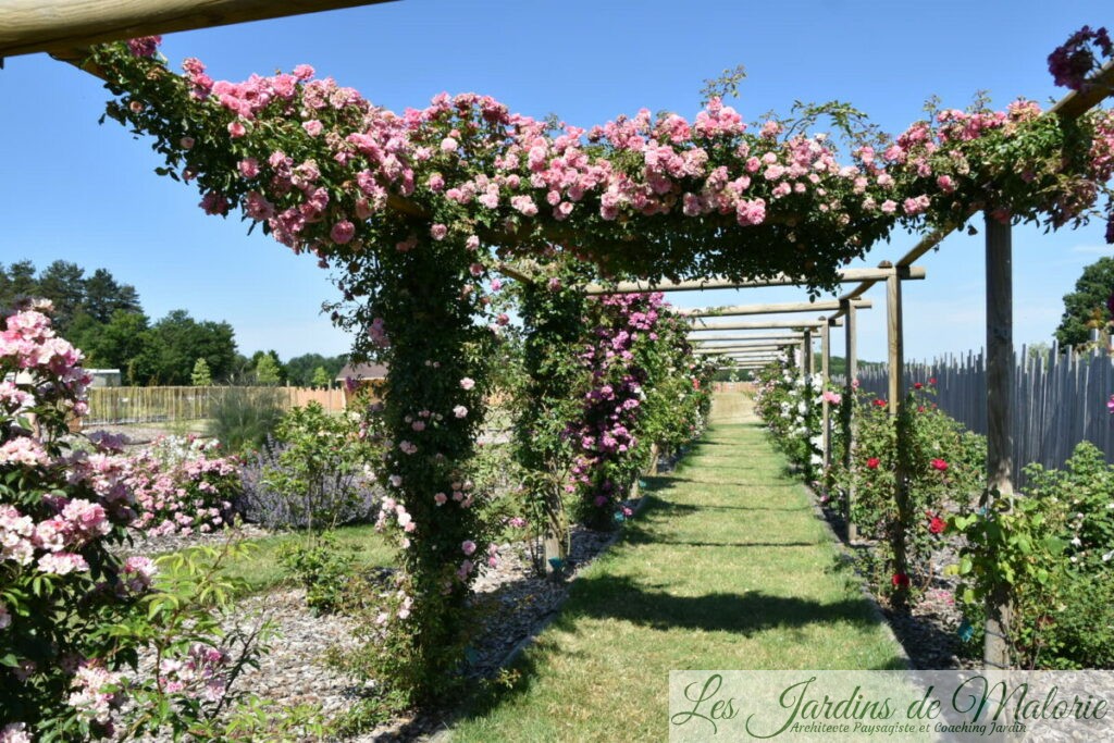 Dsc 0265 Les Jardins De Malorie