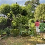 Visite du jardin privé de Didier et Graciane